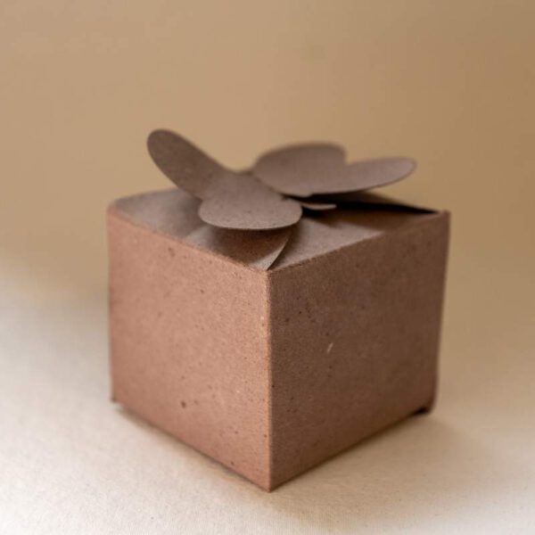 Alternative view of Pillangós doboz