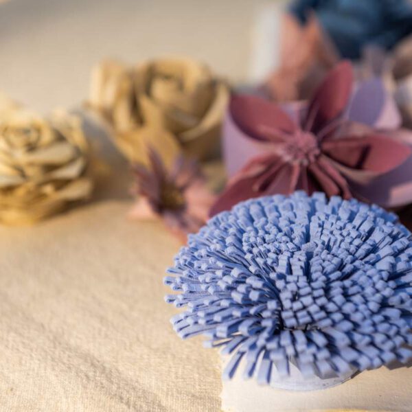 Alternative view of Papírvirág – pom pom krizantém