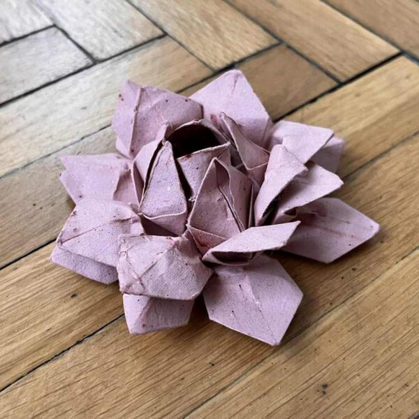 Papírvirág – lótusz