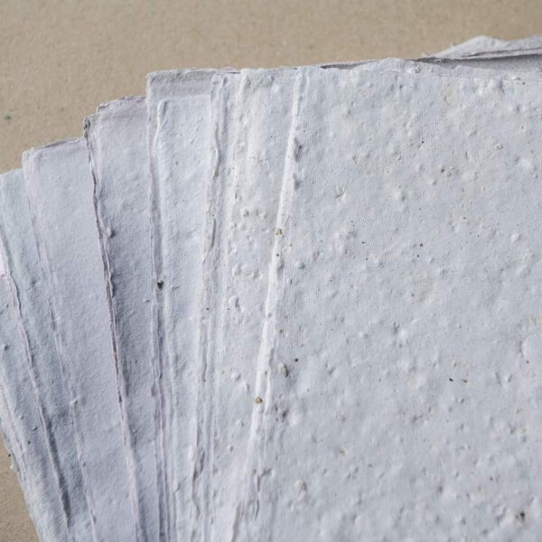 Textúrás papírlapok – belémbors