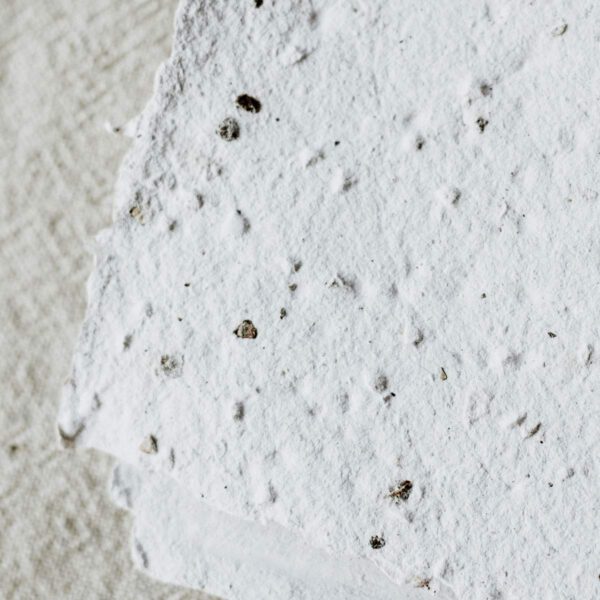 Alternative view of Textúrás papírlapok – belémbors